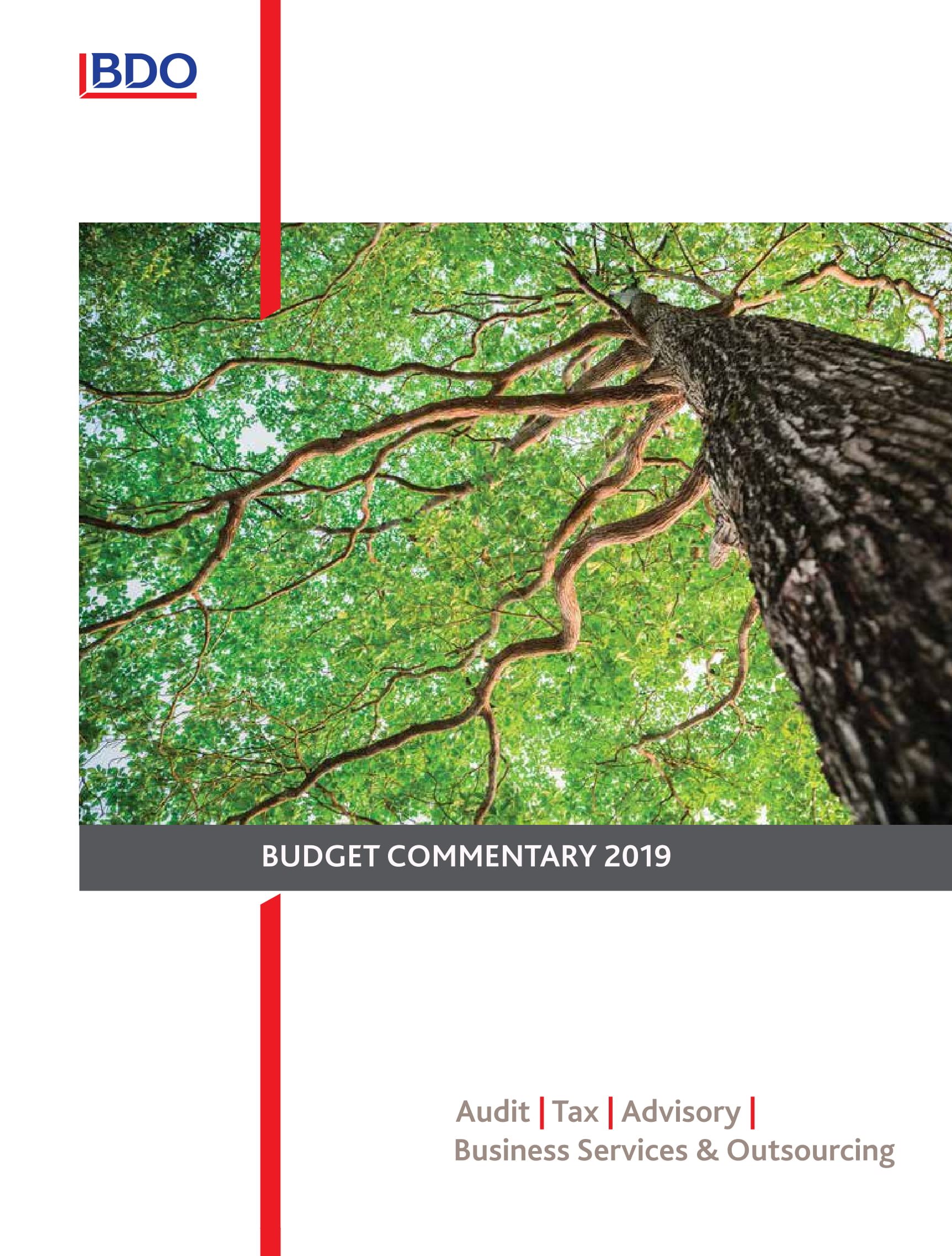 Budget Commentary 2019